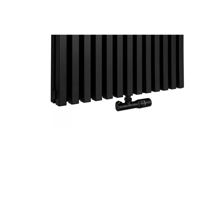 Grzejnik dekoracyjny EXTREME 1600x640, czarny
