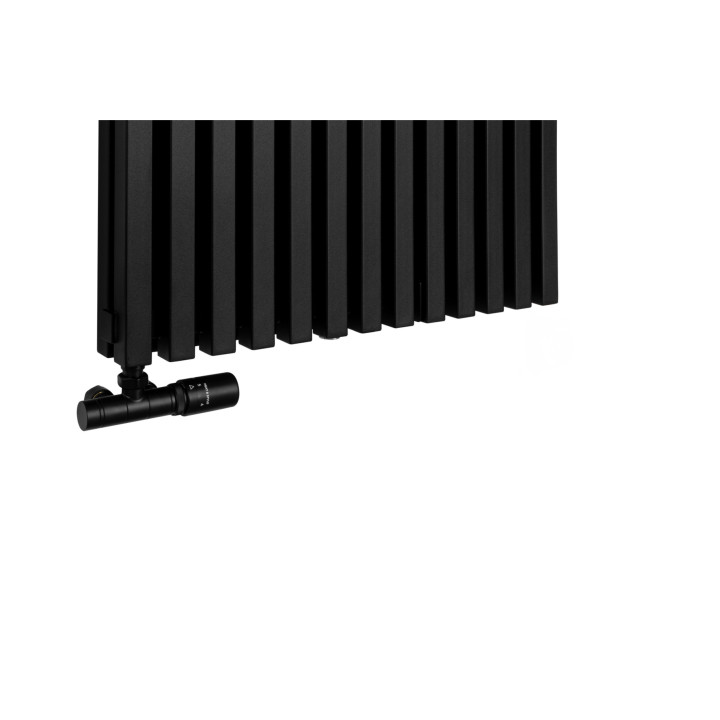 Grzejnik dekoracyjny EXTREME 1600x640, czarny
