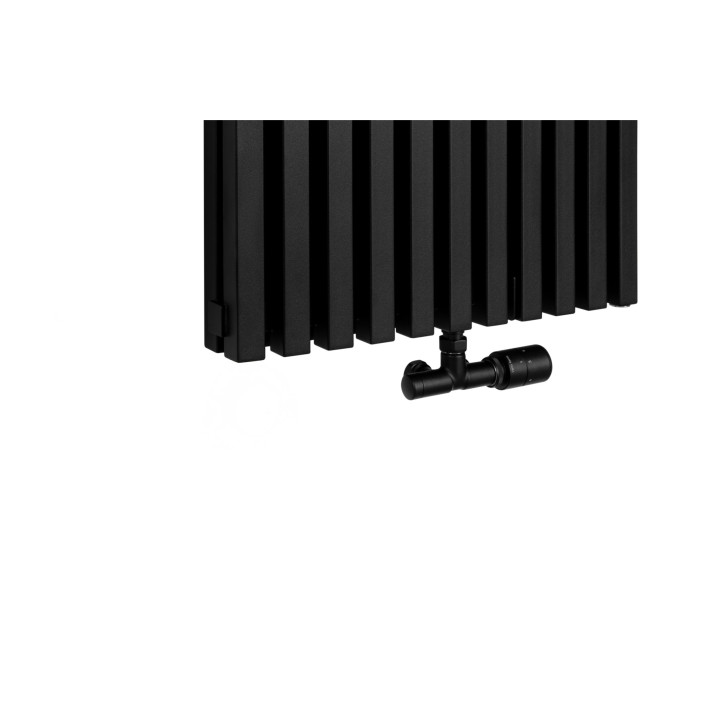 Grzejnik dekoracyjny EXTREME 1600x540, czarny
