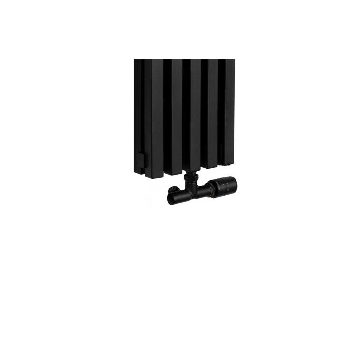Grzejnik dekoracyjny EXTREME 1600x240, czarny Instal projekt
