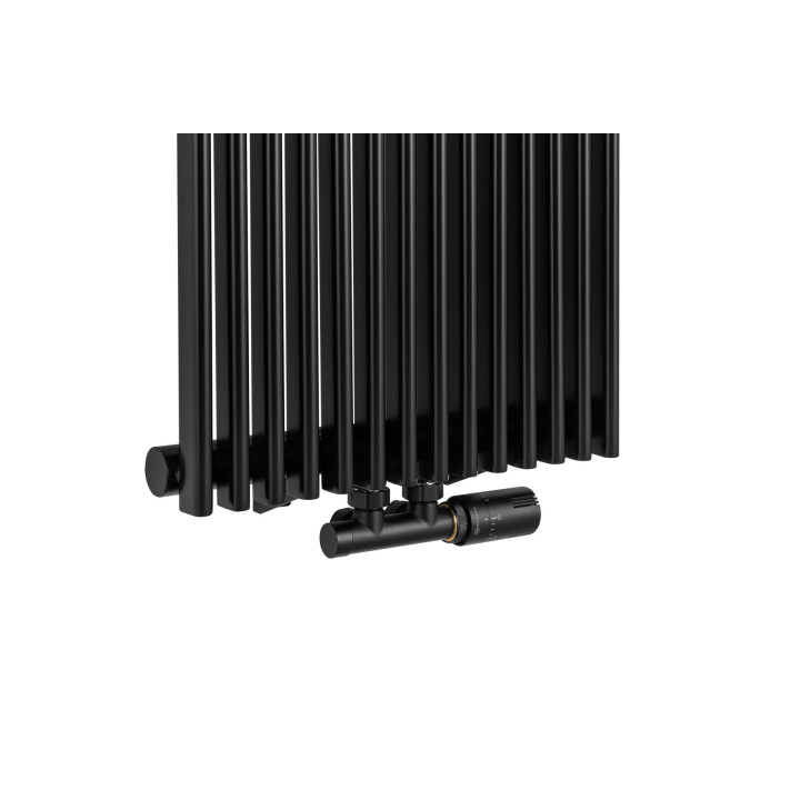 Grzejnik dekoracyjny Edo ED1 1800x394 czarny