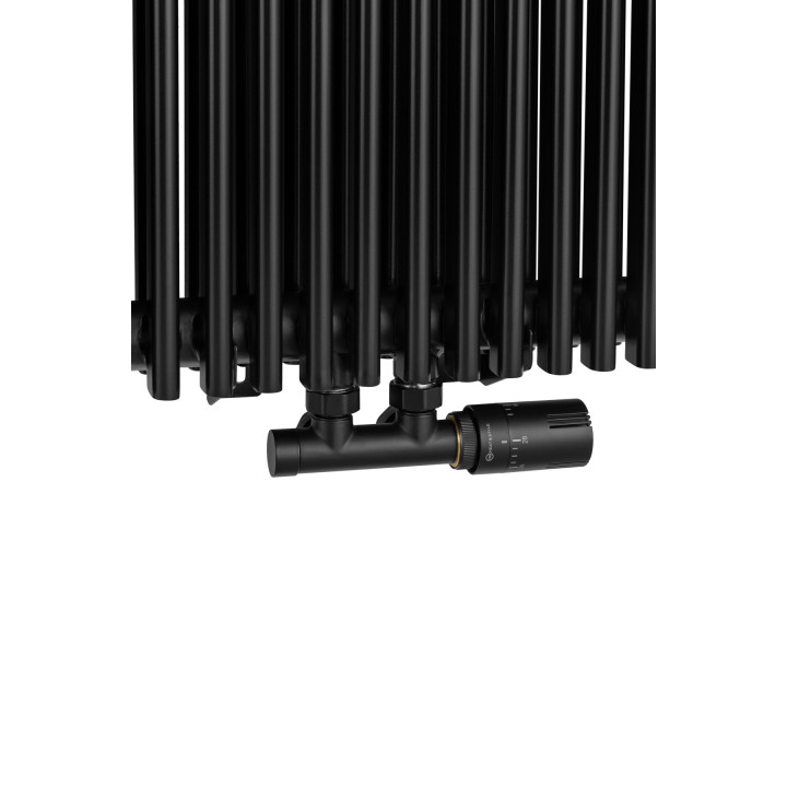 Grzejnik dekoracyjny Edo ED2E 1800x394 czarny